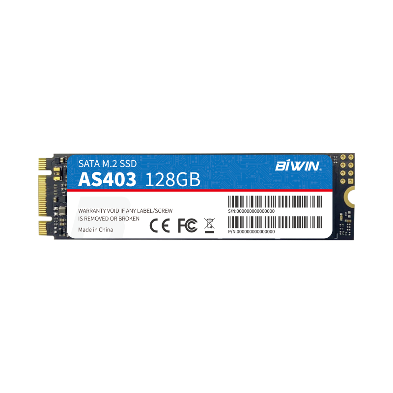 M.2 SATA SSD（图1）
